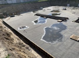 Rumia Mikołaja Reja